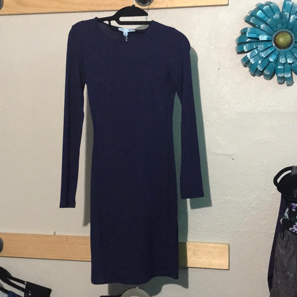 Long sleeve Blue fitted dress